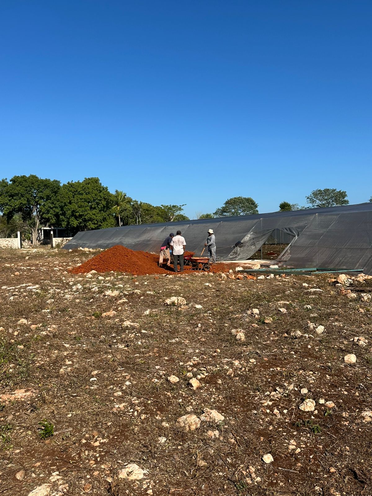 YUUM — 90m shade net build, Yucatán