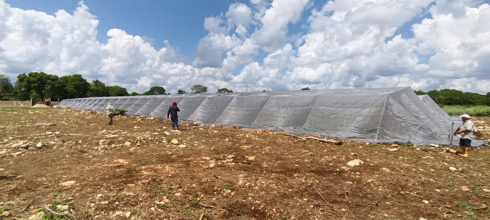 YUUM — 3,150 m² shade net, Peninsula of Yucatán
